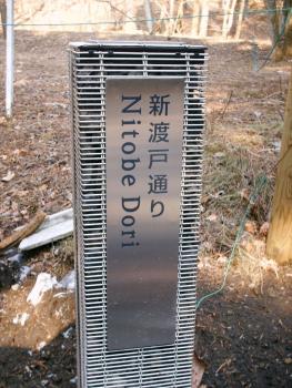 ファイル名: DSCF00702.jpg
ファイルサイズ: 25.7KB DSCF00702