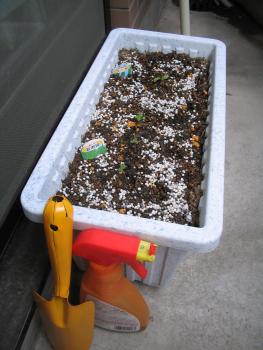 ファイル名: IMG0058.jpg
ファイルサイズ: 325.8KB
→クリックで元のサイズを表示 IMG0058